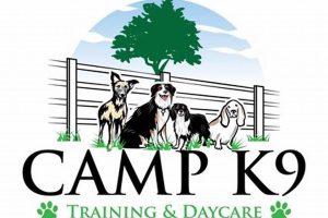 Complete K9 Care Dog Training Guide | My Caring Dog – Tips, Stories, and Care Guides for Loving Pet Owners