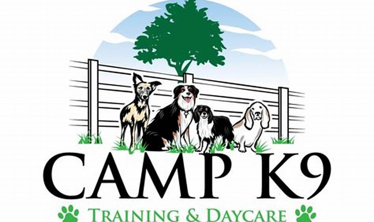 Complete K9 Care Dog Training Guide | My Caring Dog – Tips, Stories, and Care Guides for Loving Pet Owners