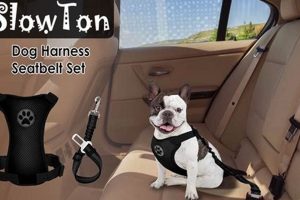 Safe Travel: Slowton Dog Car Harness Setup Guide | My Caring Dog – Tips, Stories, and Care Guides for Loving Pet Owners