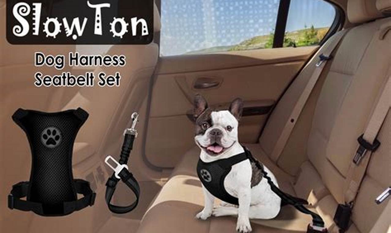 Safe Travel: Slowton Dog Car Harness Setup Guide | My Caring Dog – Tips, Stories, and Care Guides for Loving Pet Owners
