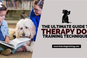 Free Therapy Dog Training | My Caring Dog – Tips, Stories, and Care Guides for Loving Pet Owners