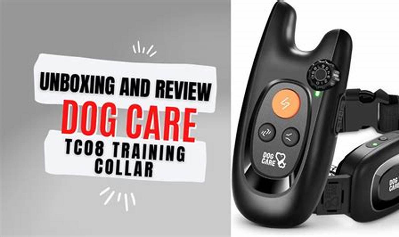 Dog Training Collar Troubleshooting Guide My Caring Dog – Tips, Stories, and Care Guides for Loving Pet Owners Dog Training Collar Troubleshooting Guide | My Caring Dog – Tips, Stories, and Care Guides for Loving Pet Owners