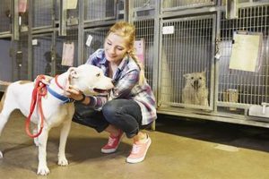 Professional Dog Care Taker Services My Caring Dog – Tips, Stories, and Care Guides for Loving Pet Owners Professional Dog Care Taker Services | My Caring Dog – Tips, Stories, and Care Guides for Loving Pet Owners