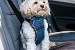 Top Crash Tested Dog Car Harnesses for Safety My Caring Dog – Tips, Stories, and Care Guides for Loving Pet Owners Top Crash Tested Dog Car Harnesses for Safety | My Caring Dog – Tips, Stories, and Care Guides for Loving Pet Owners