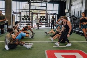 Psd Training Near Me My Caring Dog – Tips, Stories, and Care Guides for Loving Pet Owners Psd Training Near Me | My Caring Dog – Tips, Stories, and Care Guides for Loving Pet Owners