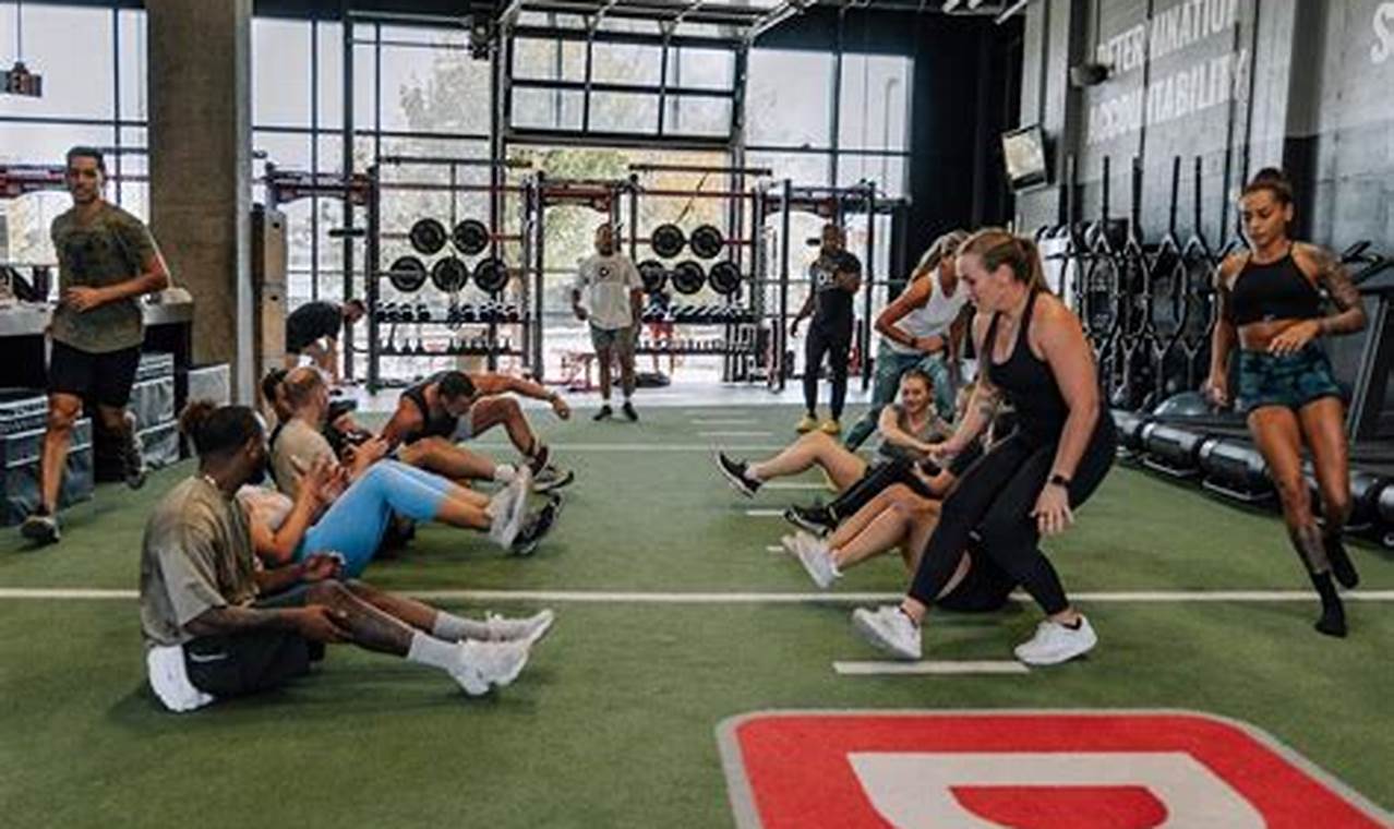 Psd Training Near Me My Caring Dog – Tips, Stories, and Care Guides for Loving Pet Owners Psd Training Near Me | My Caring Dog – Tips, Stories, and Care Guides for Loving Pet Owners