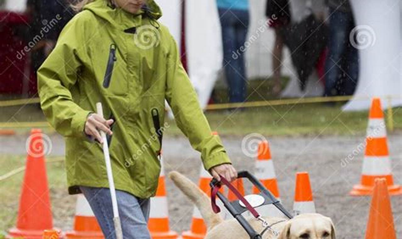 Become a Guide Dog Trainer: A Rewarding Career | My Caring Dog – Tips, Stories, and Care Guides for Loving Pet Owners