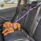 Safe Dog Car Travel: Leash Secure Tips & Tricks | My Caring Dog – Tips, Stories, and Care Guides for Loving Pet Owners