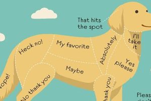 The Ultimate Guide: How to Pet a Dog Like a Pro | My Caring Dog – Tips, Stories, and Care Guides for Loving Pet Owners