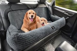 Ultimate Large Dog Car Safety Guide | My Caring Dog – Tips, Stories, and Care Guides for Loving Pet Owners