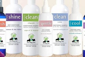 Best Dog Care Products: Guide &amp; Essentials | My Caring Dog – Tips, Stories, and Care Guides for Loving Pet Owners