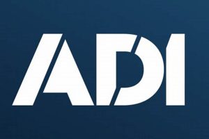 Adi Uk My Caring Dog – Tips, Stories, and Care Guides for Loving Pet Owners Adi Uk | My Caring Dog – Tips, Stories, and Care Guides for Loving Pet Owners