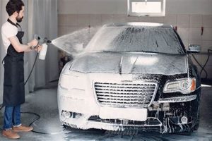 Find Top Dog Spotless Car Wash Near You | My Caring Dog – Tips, Stories, and Care Guides for Loving Pet Owners