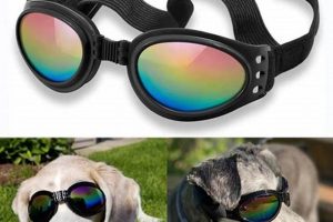 Best Dog Goggles for Car Rides & Travel | My Caring Dog – Tips, Stories, and Care Guides for Loving Pet Owners