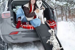 Best Dog Ramps for Car & Home Use My Caring Dog – Tips, Stories, and Care Guides for Loving Pet Owners Best Dog Ramps for Car & Home Use | My Caring Dog – Tips, Stories, and Care Guides for Loving Pet Owners