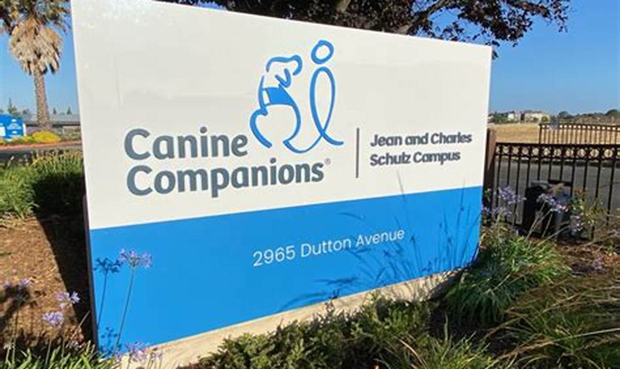 Best Canine Companions Santa Rosa Services My Caring Dog – Tips, Stories, and Care Guides for Loving Pet Owners Best Canine Companions Santa Rosa Services | My Caring Dog – Tips, Stories, and Care Guides for Loving Pet Owners