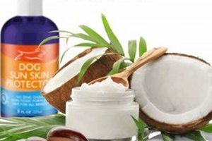 Essential Dog Skin Care Tips & Tricks | My Caring Dog – Tips, Stories, and Care Guides for Loving Pet Owners