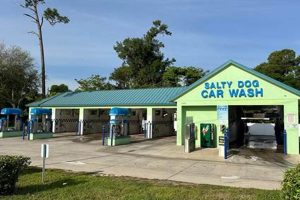 The Salty Dog: Car & Pet Wash Near You My Caring Dog – Tips, Stories, and Care Guides for Loving Pet Owners The Salty Dog: Car & Pet Wash Near You | My Caring Dog – Tips, Stories, and Care Guides for Loving Pet Owners