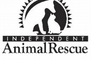 Best Independent Animal Rescue in Durham NC | My Caring Dog – Tips, Stories, and Care Guides for Loving Pet Owners