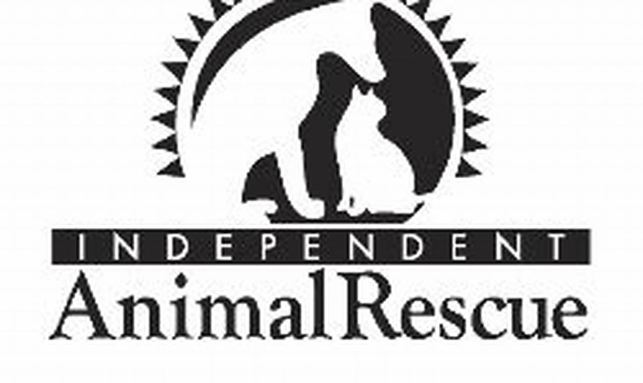 Best Independent Animal Rescue in Durham NC | My Caring Dog – Tips, Stories, and Care Guides for Loving Pet Owners