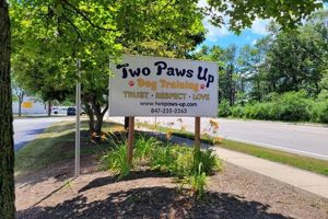 Best Two Paws Up Dog Training Inc: Courses & Tips My Caring Dog – Tips, Stories, and Care Guides for Loving Pet Owners Best Two Paws Up Dog Training Inc: Courses & Tips | My Caring Dog – Tips, Stories, and Care Guides for Loving Pet Owners