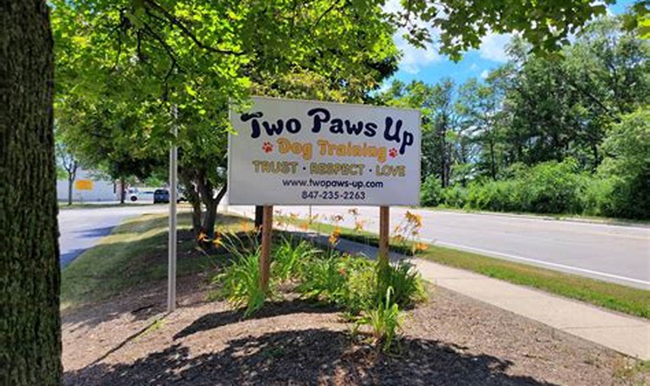 Best Two Paws Up Dog Training Inc: Courses & Tips | My Caring Dog – Tips, Stories, and Care Guides for Loving Pet Owners