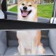 Best Dog Car Seats for Large Dogs: Safe Travels | My Caring Dog – Tips, Stories, and Care Guides for Loving Pet Owners