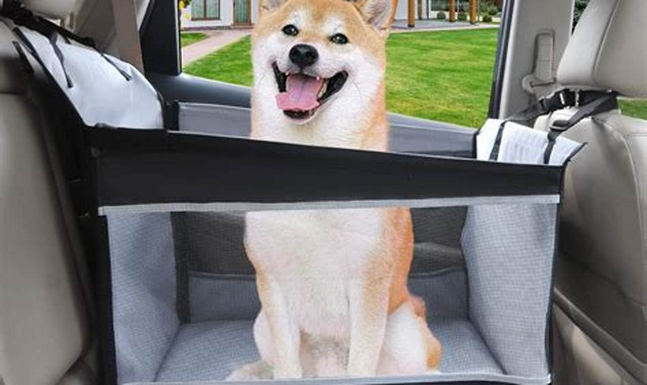 Best Dog Car Seats for Large Dogs: Safe Travels | My Caring Dog – Tips, Stories, and Care Guides for Loving Pet Owners