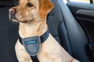 Best Car Travel Harnesses for Dogs: Safe & Secure My Caring Dog – Tips, Stories, and Care Guides for Loving Pet Owners Best Car Travel Harnesses for Dogs: Safe & Secure | My Caring Dog – Tips, Stories, and Care Guides for Loving Pet Owners