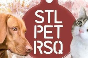 Adopt, Don't Shop: STL Pet Rescue Dogs | My Caring Dog – Tips, Stories, and Care Guides for Loving Pet Owners