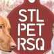 Adopt, Don't Shop: STL Pet Rescue Dogs | My Caring Dog – Tips, Stories, and Care Guides for Loving Pet Owners