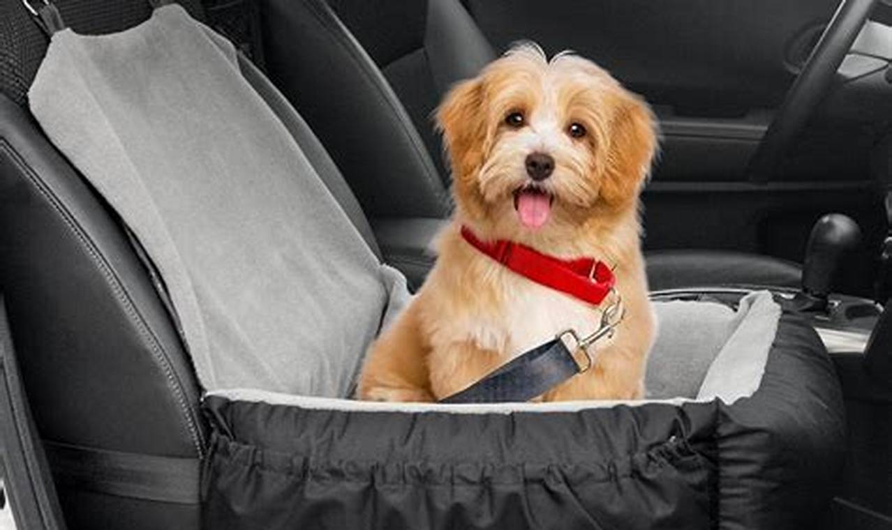 Best Small Dog Car Seats: Safety & Comfort | My Caring Dog – Tips, Stories, and Care Guides for Loving Pet Owners
