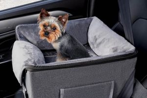 Best Small Dog Carrier Car Seats & Travel Crates | My Caring Dog – Tips, Stories, and Care Guides for Loving Pet Owners