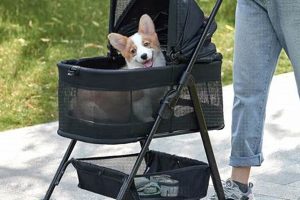 Dog Stroller And Car Seat | My Caring Dog – Tips, Stories, and Care Guides for Loving Pet Owners