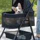 Dog Stroller And Car Seat | My Caring Dog – Tips, Stories, and Care Guides for Loving Pet Owners