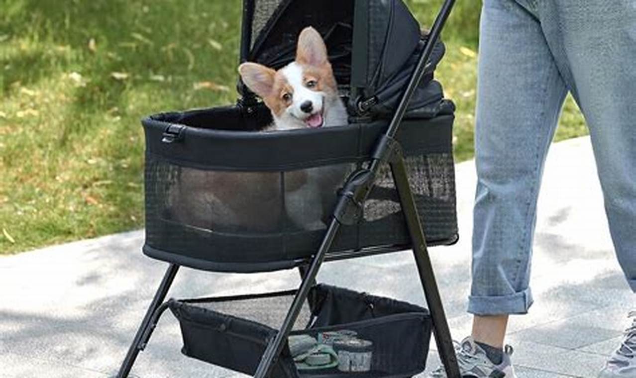 Dog Stroller And Car Seat | My Caring Dog – Tips, Stories, and Care Guides for Loving Pet Owners