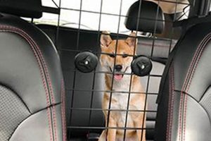 Top Car Dog Barrier Front Seat Options for Safety | My Caring Dog – Tips, Stories, and Care Guides for Loving Pet Owners