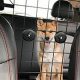 Top Car Dog Barrier Front Seat Options for Safety | My Caring Dog – Tips, Stories, and Care Guides for Loving Pet Owners