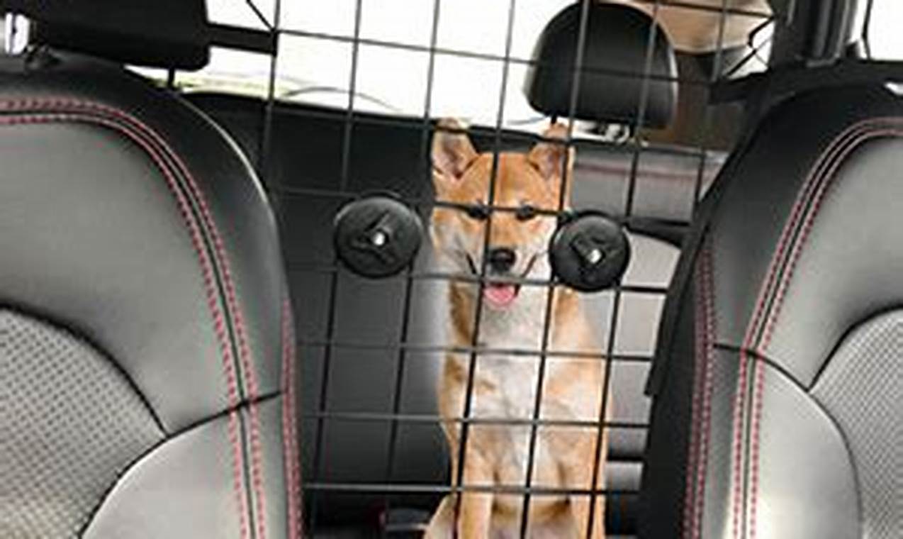 Top Car Dog Barrier Front Seat Options for Safety | My Caring Dog – Tips, Stories, and Care Guides for Loving Pet Owners