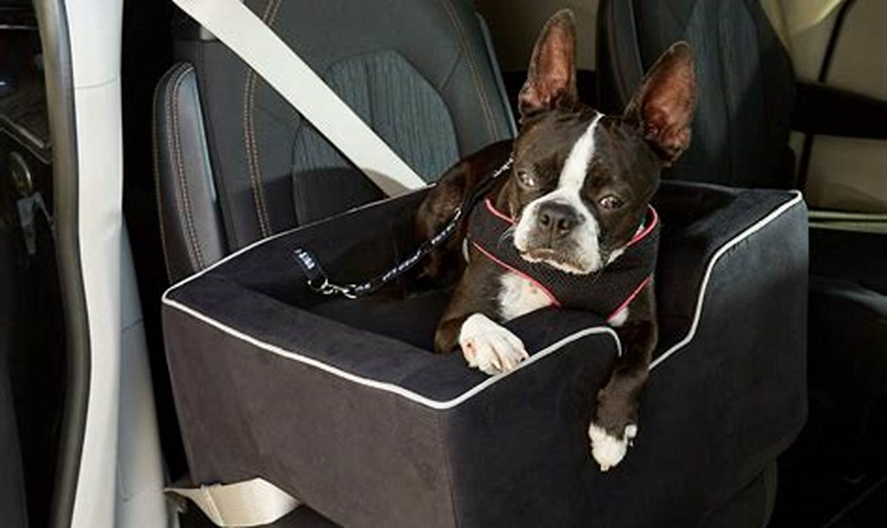 Top 5 Best Rated Dog Car Seats for Safe Travels | My Caring Dog – Tips, Stories, and Care Guides for Loving Pet Owners