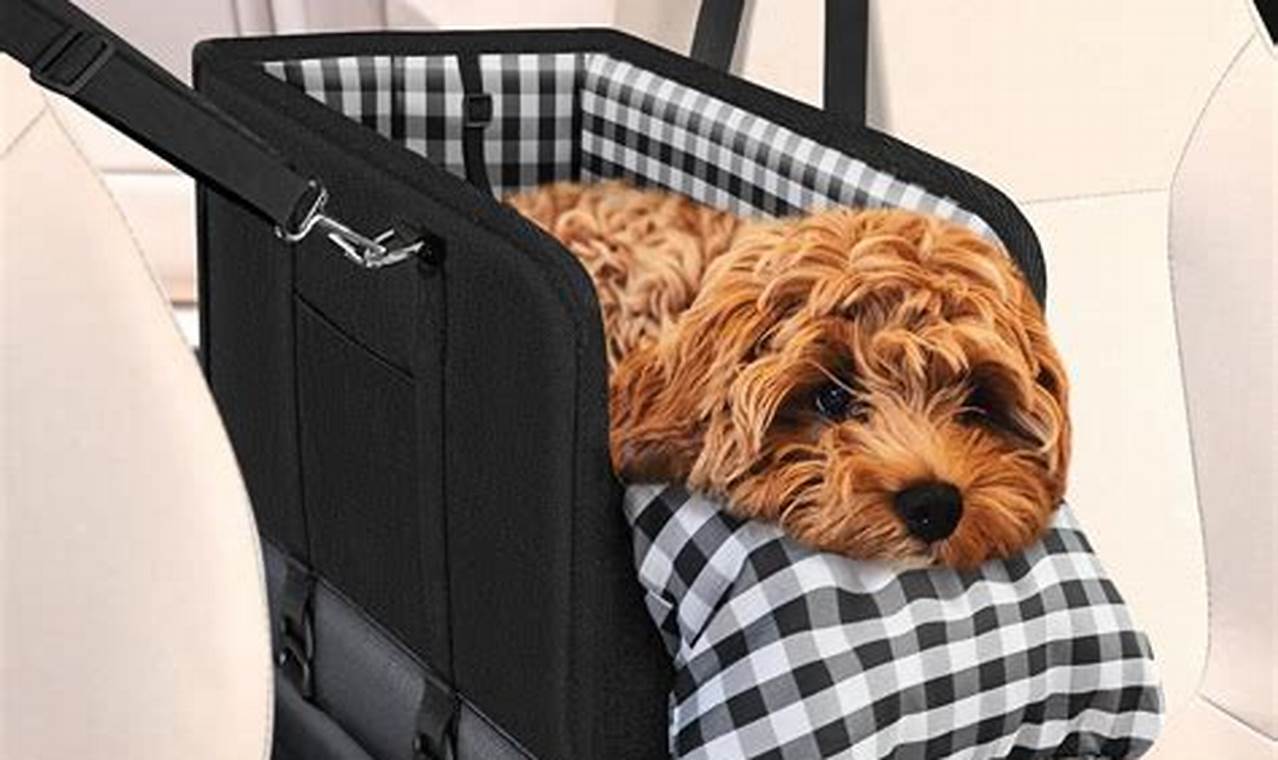Best Dog Car Seats: Safety & Comfort Guide My Caring Dog – Tips, Stories, and Care Guides for Loving Pet Owners Best Dog Car Seats: Safety & Comfort Guide | My Caring Dog – Tips, Stories, and Care Guides for Loving Pet Owners