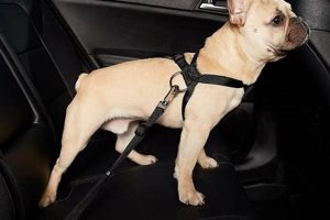 Top HDP Car Dog Harnesses for Safe Travel | My Caring Dog – Tips, Stories, and Care Guides for Loving Pet Owners