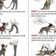 Effective Cara Dog Training Tips & Tricks | My Caring Dog – Tips, Stories, and Care Guides for Loving Pet Owners