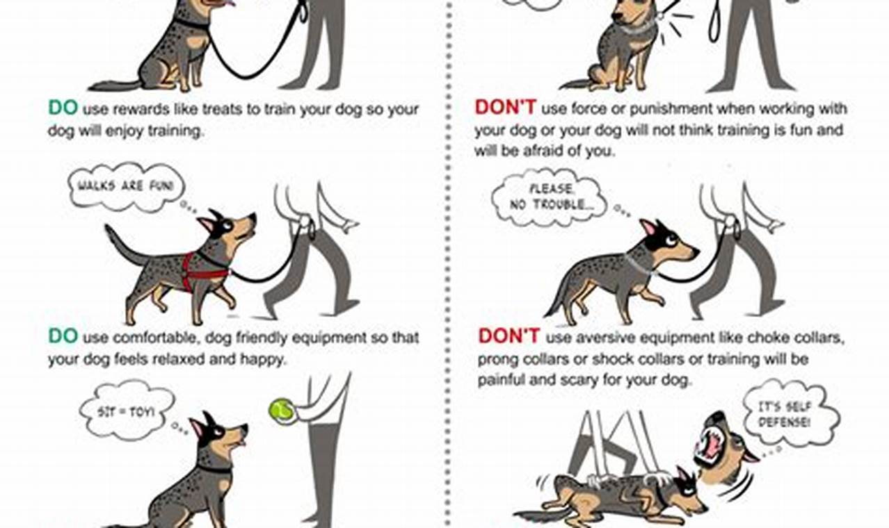 Effective Cara Dog Training Tips & Tricks | My Caring Dog – Tips, Stories, and Care Guides for Loving Pet Owners