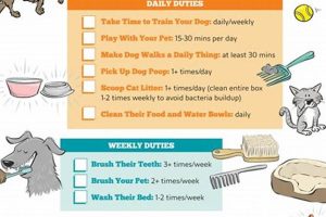 Ultimate Dog Care Checklist: A How-To Guide | My Caring Dog – Tips, Stories, and Care Guides for Loving Pet Owners