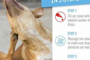 Dog Ear Mite Care Guide: Tips &amp; Treatments | My Caring Dog – Tips, Stories, and Care Guides for Loving Pet Owners