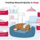 Dog Wound Care Guide: Tips &amp; Tricks | My Caring Dog – Tips, Stories, and Care Guides for Loving Pet Owners